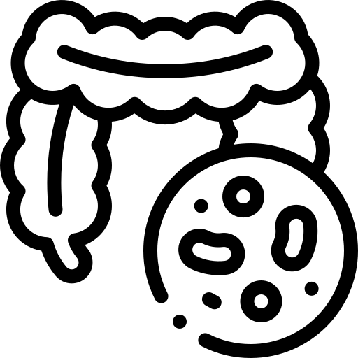 Ícone de saúde intestinal